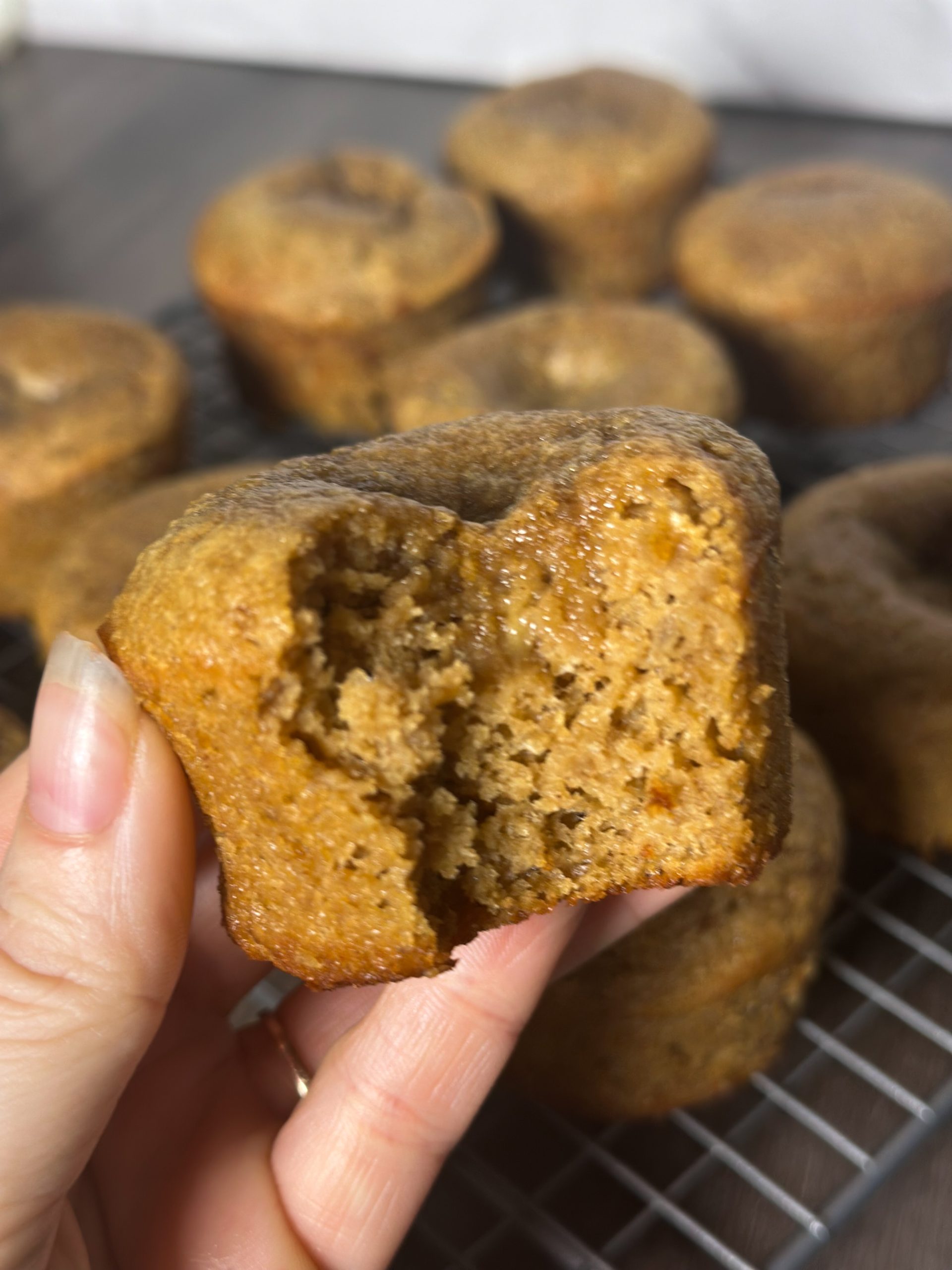 Protein Banana Muffins